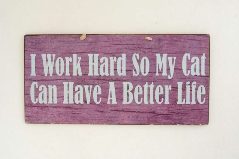 Πινακίδα "I work hard so my cat can have a better life"